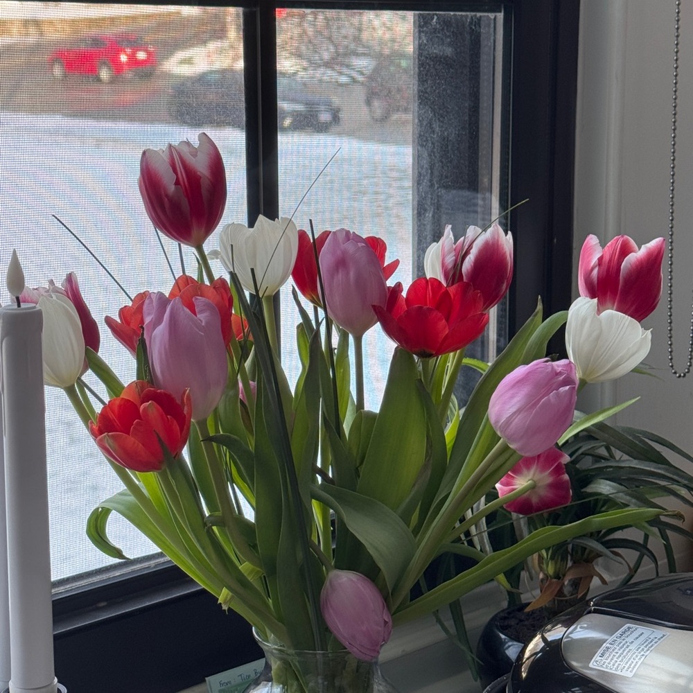 Meet your Posher, Tien